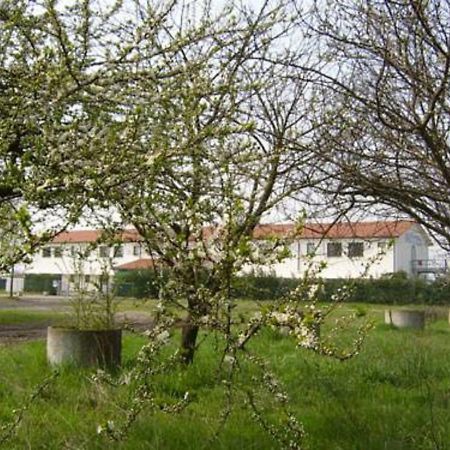Hotel Lory Ficarolo Kültér fotó
