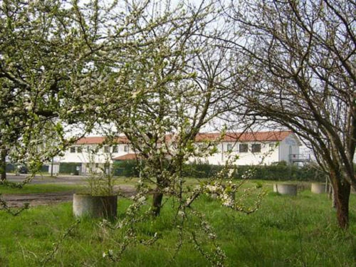 Hotel Lory Ficarolo Kültér fotó